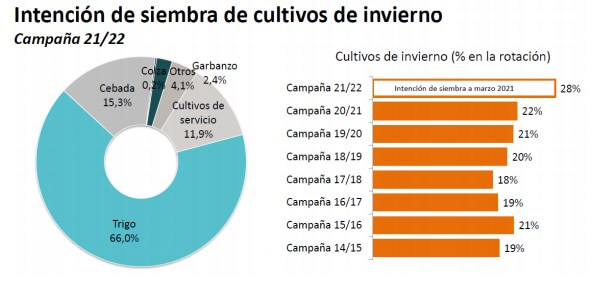 Agricultura CREA Siembra Marzo 2021