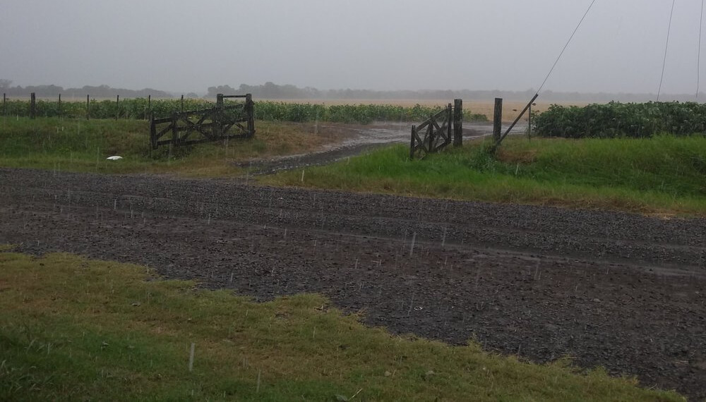 Tiempo de lluvias - Campo