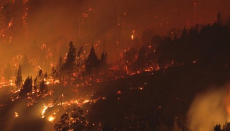 Incendios en Chubut - marzo 2021