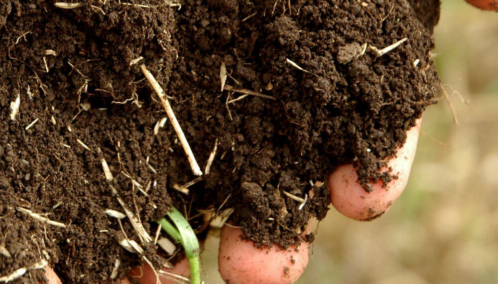 Manos con tierra - Buenas practicas agricolas