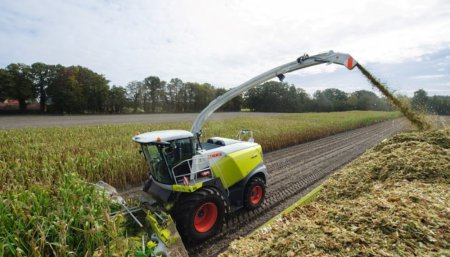 Paso a paso: las cinco fases para hacer un silo de calidad de la mano de un experto 1 claas silaje infocampo