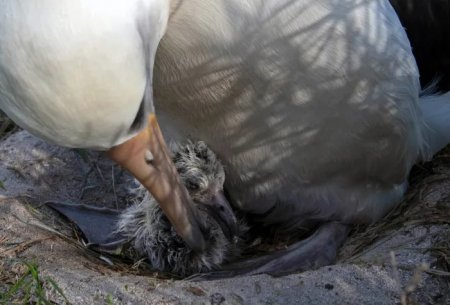 madre hijo infocampo