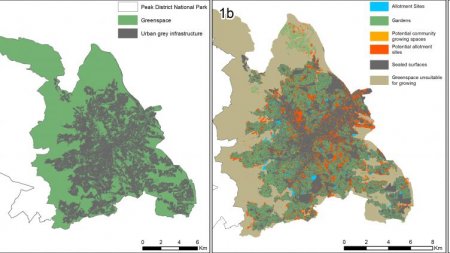 mapa sheffield infocampo