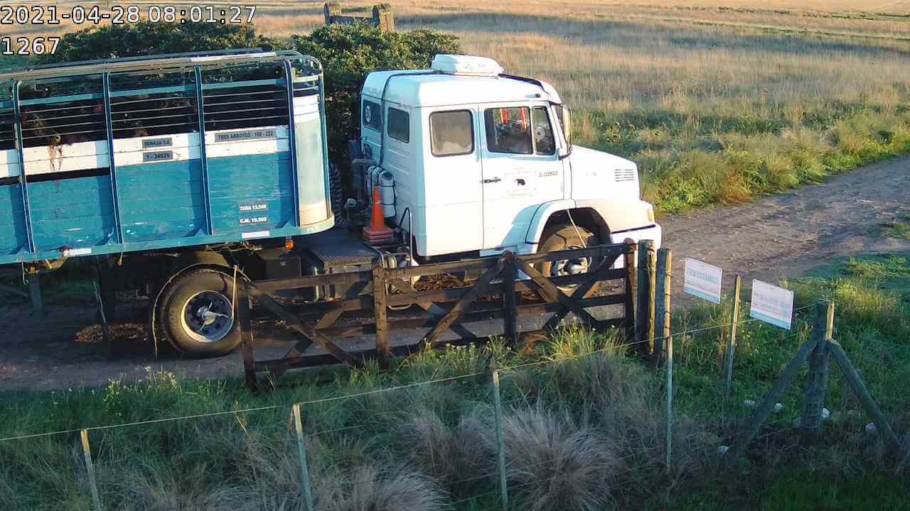 Inseguridad rural: ya hay más de 500 cámaras instaladas para monitorear campos sin necesidad de internet ni electricidad 1 CONTROL DE INGRESOS 2