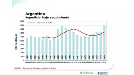 superficie cultivada infocampo