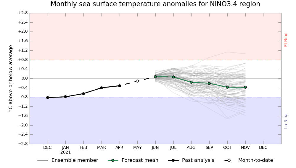 Pronostican que las condiciones de neutralidad de El Niño se mantendrán por seis meses 1 El Niño Grafico