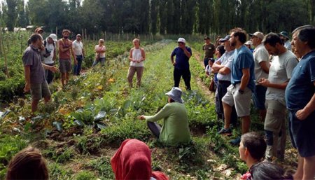 agroecologia buena vida infocampo