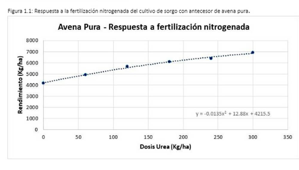 avena advanta