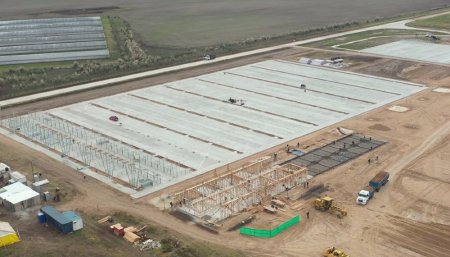 mercado agro ganadero canelas