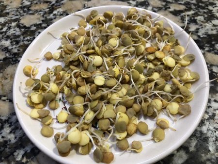 germiandos-semillas