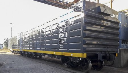 trenes argentinos cargas vagones infocampo
