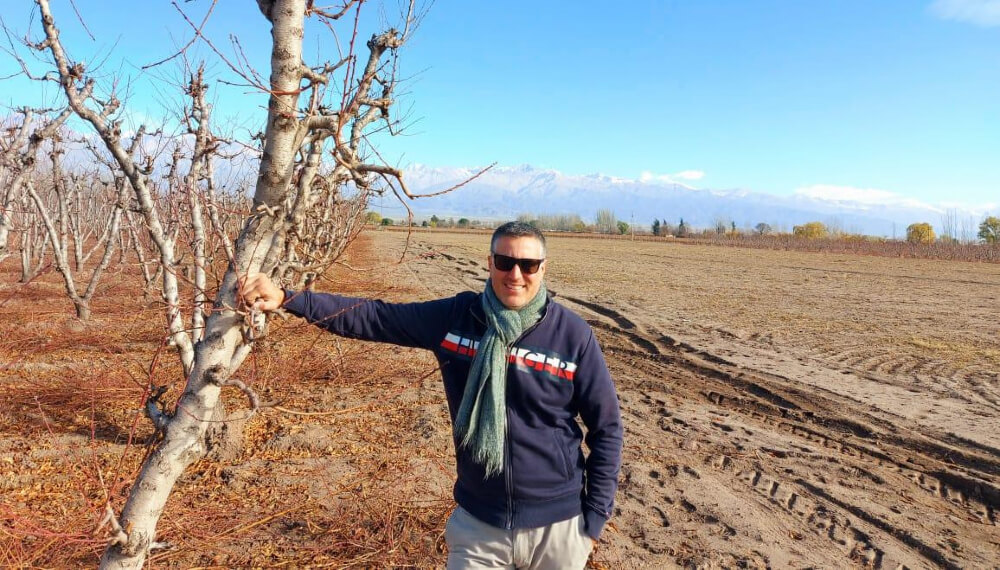 Uvas y frutos secos: un escudo biológico logra protegerlos de los hongos 1 unnamed 3 1