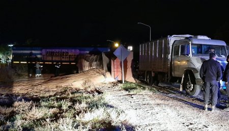 tren vuelco bahia blanca trigo