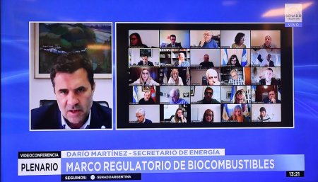 Exposicion de Dario Martinez en comisiones del Senado