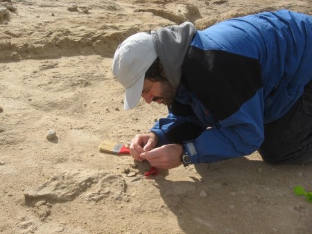 Daniel Tassara durante el descubrimiento del fosil cerca de la ciudad de Miramar