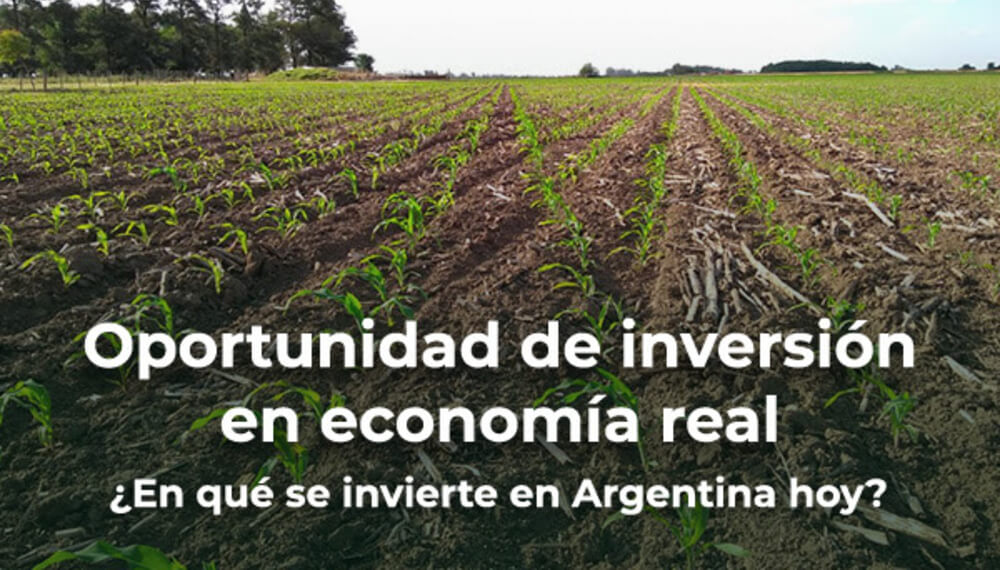 Inversion en economia