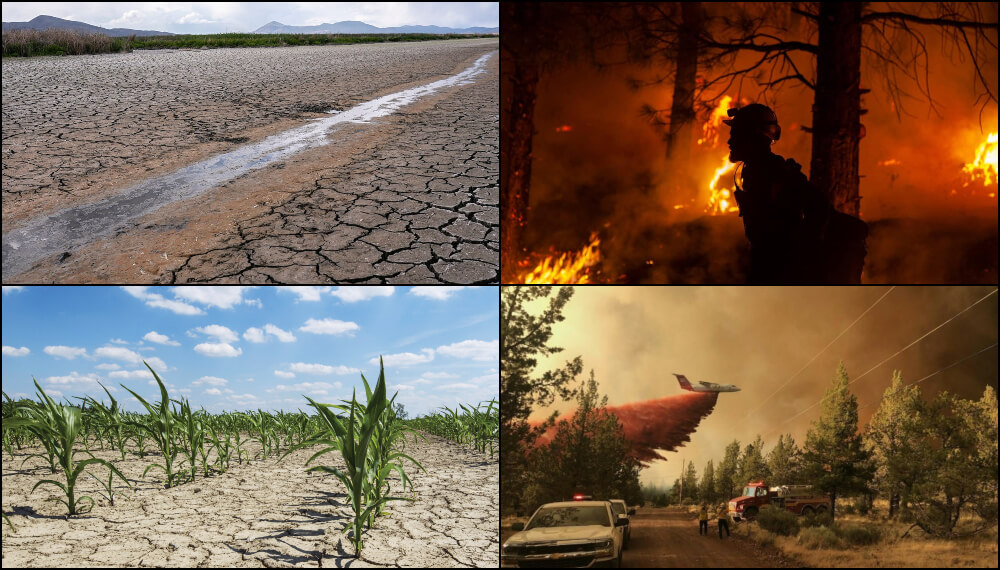 Fotos del clima extremo en el Hemisferio Norte - Julio 2021