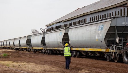 Tren San Martín cargas modernizaciones