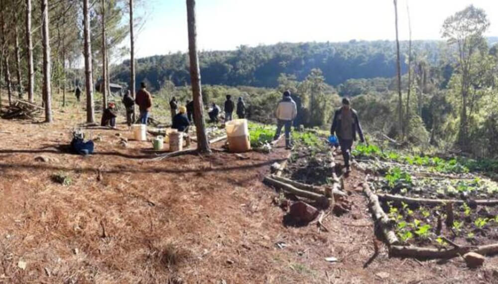 Usurpación misiones