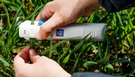 Yara fertilizacion campo