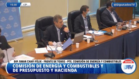 Biocombustibles diputados