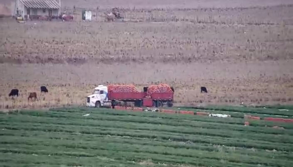 camaras inseguridad rural