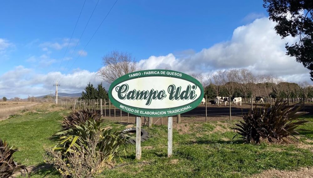 campo-udi-infocampo