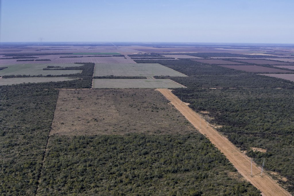 deforestacion chaco infocampo 1