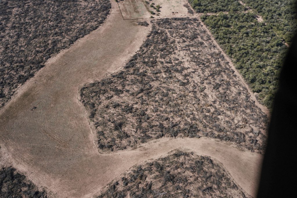 deforestacion chaco infocampo 4