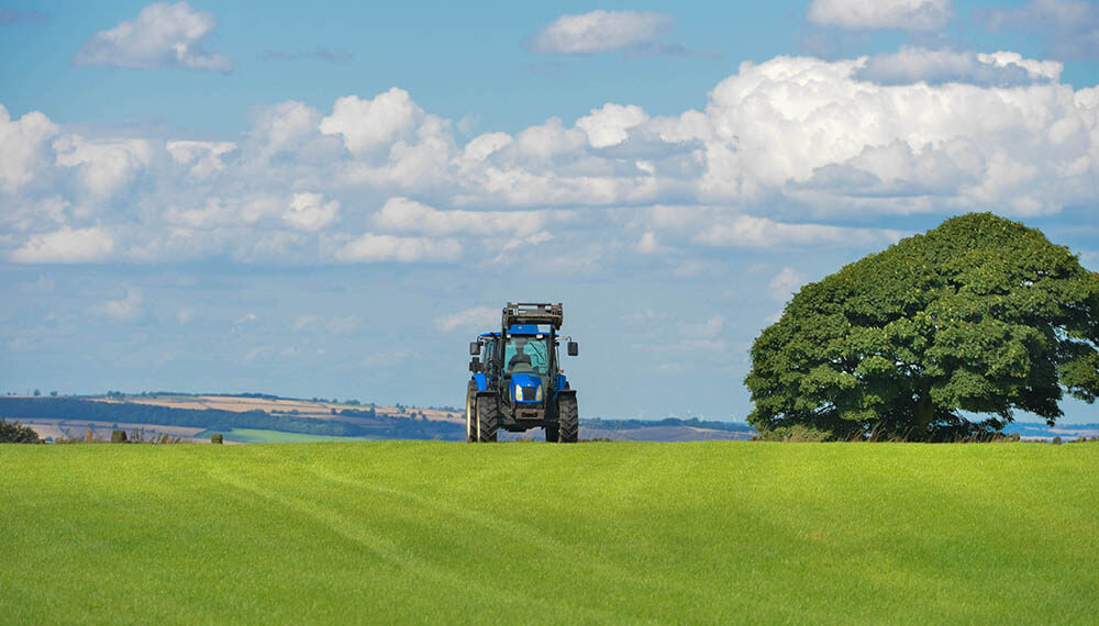 fertilizacion brasil