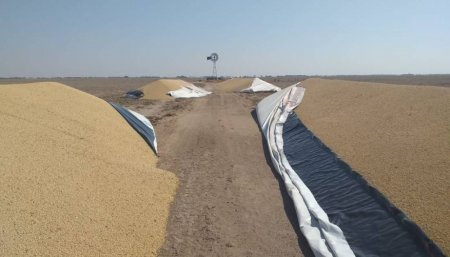 Silobolsas rotas en cordoba