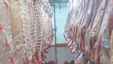 Exportaciones de carne - Frigorifico