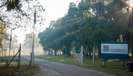 INTA convenio