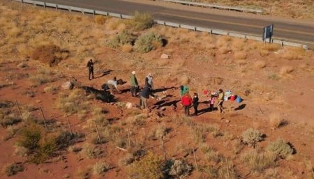 Paleontologia descubren restos fosiles