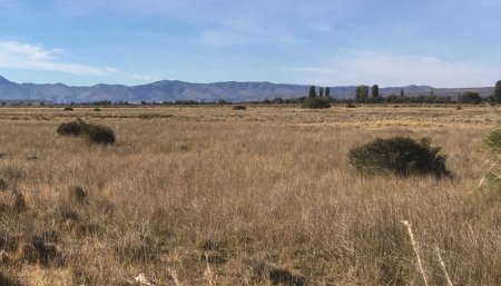 Ambiente Patagonia - Desertificacion