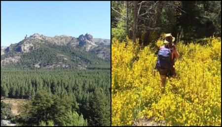 Especies invasoras en la Patagonia - FAUBA