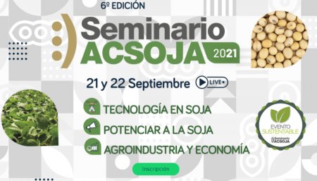 Seminario acsoja