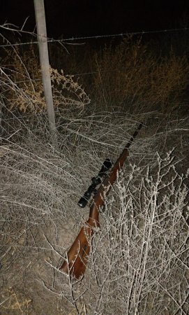 Caza de Vizcacha en Mendoza