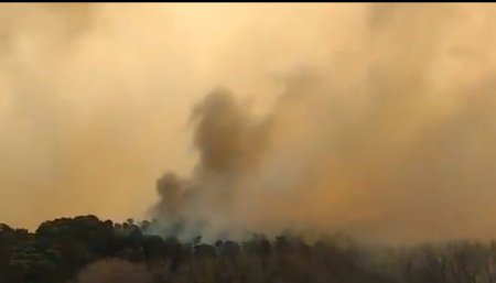 Incendios en Cordoba
