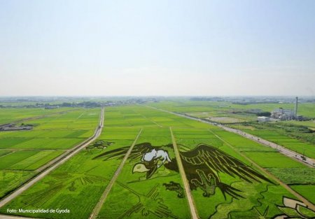 japon gyoda arte en campos