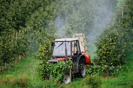 pesticida campo