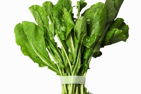 Huerta rápida: cómo sembrar vegetales para cosechar en menos de dos meses 14 vegetales para sembrar en casa
