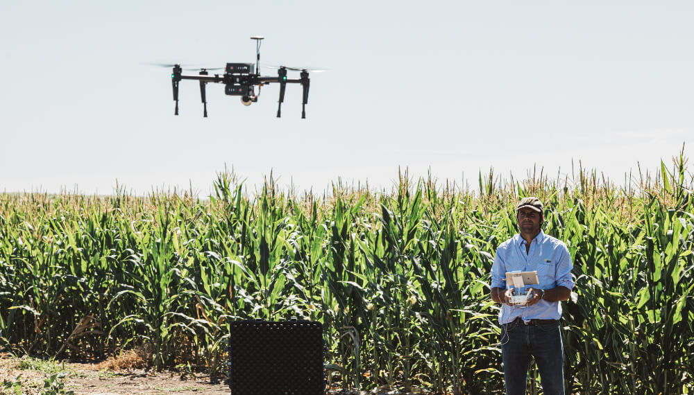 Ganadería 4.0: drones y satélites para medir el pasto, un “click