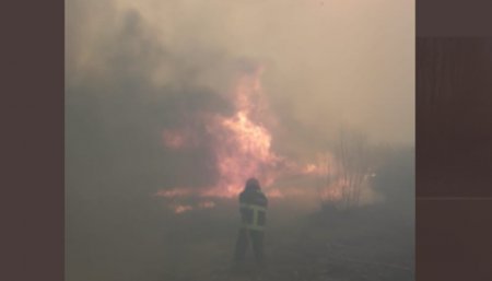 Incendios en San Juan