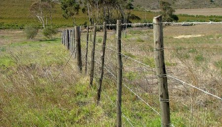 Robaron alambre de una finca