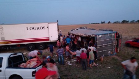 Volco camion de carne