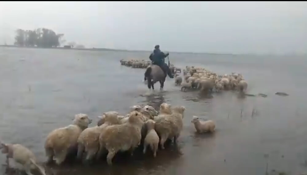 Inundacion en la Provincia de Buenos Aires