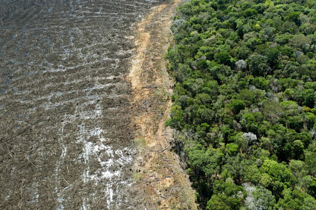 deforestacion amazonias