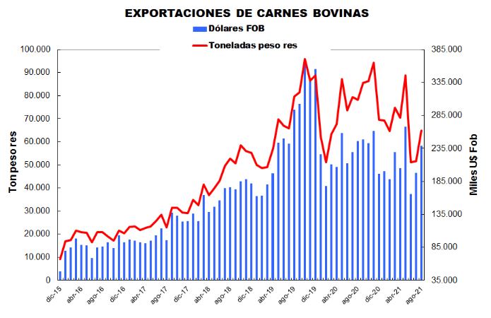 Continúan cayendo las exportaciones de carne vacuna 1 exportacion carne vacuna dic15 ago21