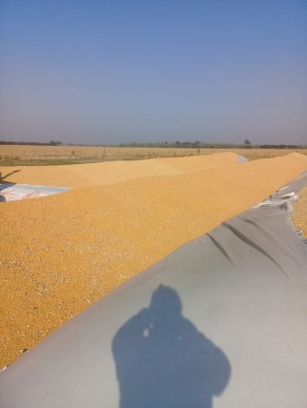 Inseguridad rural: otra vez rompieron silobolsas en Córdoba 2 silobolsa